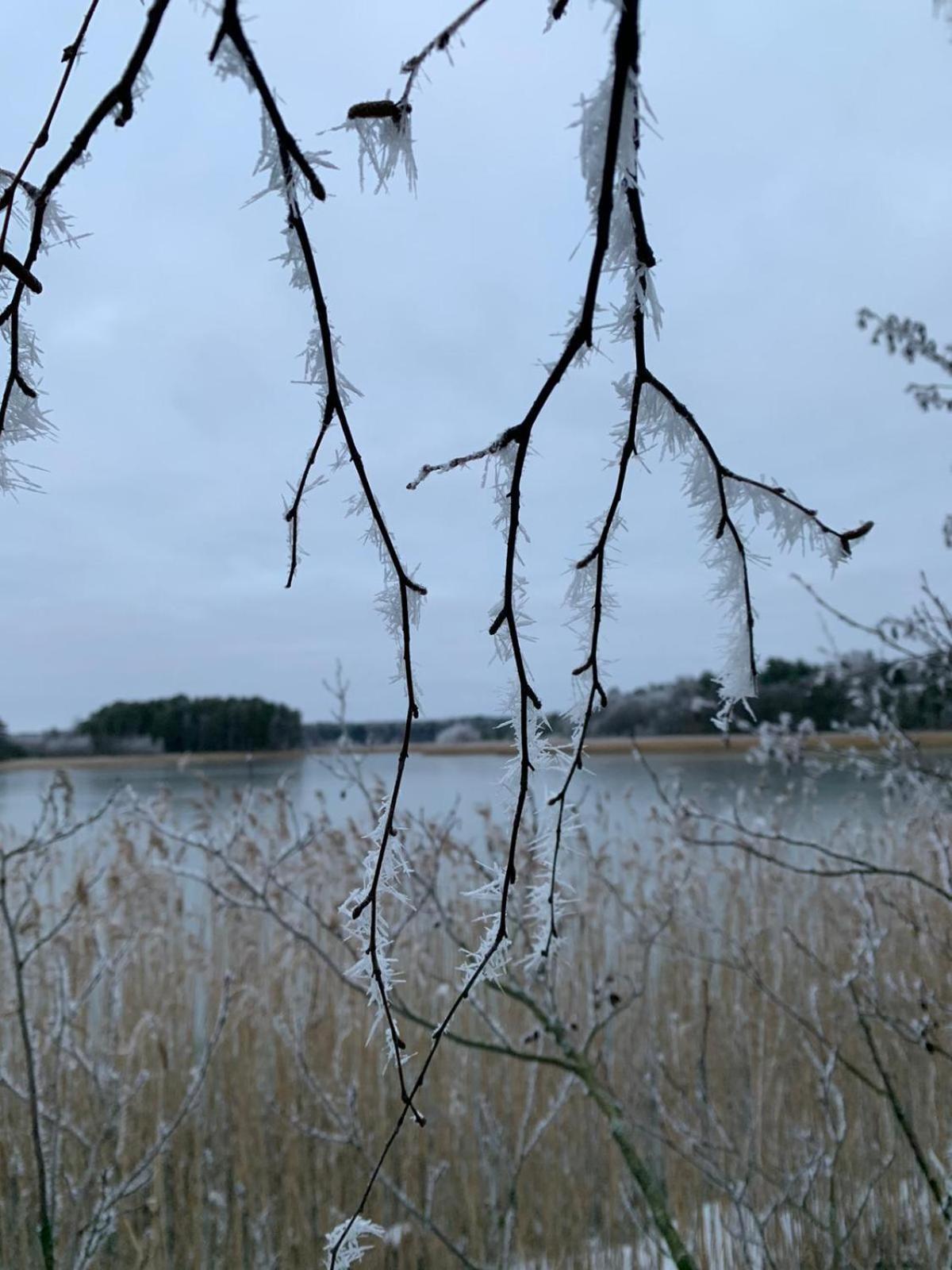 Tamminiemen Lomamökit Gustavs Exteriör bild
